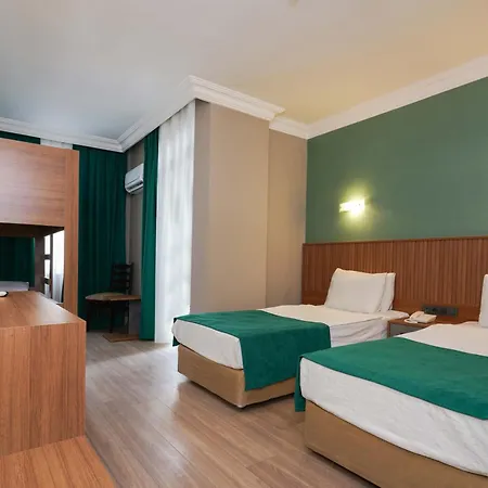 Отель Erguen 3*